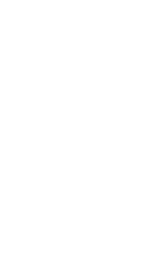 NEI